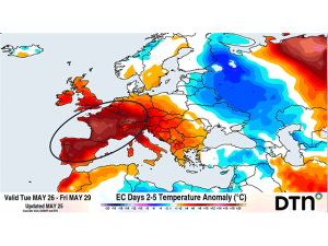 Late-May Heat Wave May Stress France Wheat