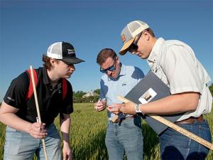 Scouts Encounter Drought Stress, Freeze Damage and Disease on Hard Winter Wheat Tour Day 1