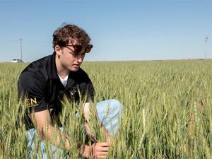 Abandonment Potential Increases on Hard Winter Wheat Tour Day 2