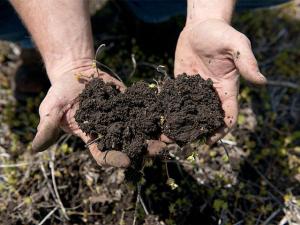Enroll in Cover Crop Program and Get Paid to Improve Your Soil