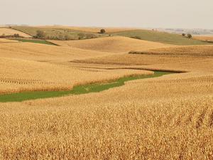 Chicago Fed Report: Cash Rents Drop, Farm Loans Surge Across Midwest