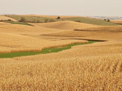 Foreign Farmland Disclosure Law Sees Biggest Change Since 1978; How it Affects Ag