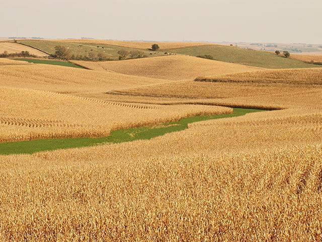 A Federal Reserve Bank of Chicago report shows Midwest farmland values, cash rents and credit conditions are deteriorating in 2026, with many farms operating near breakeven.