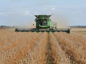 US Soybean Farmers Need To Be Less Dependent on China