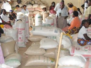 Hormuz Crisis Sparks UN Warning Over Global Crop Yields and Food Supplies