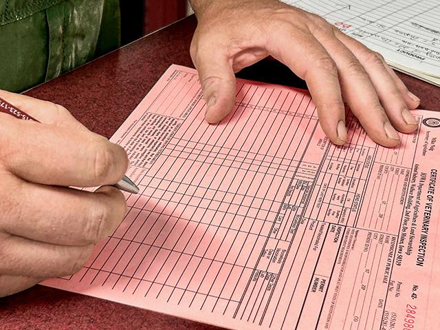 Pictured is a Certificate of Veterinary Inspection. (DTN/Progressive Farmer photo by Jennifer Carrico)