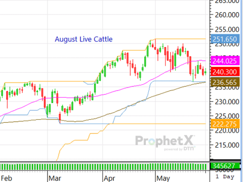 The Cattle Complex Remains Stuck in a Sideways Chop, Fearing Volatility