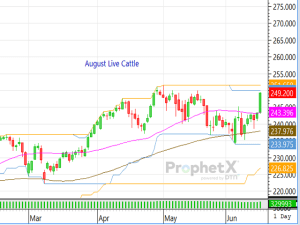 The Cattle Complex Enjoys a Red-Hot Rally