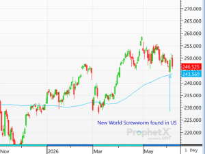 Cattle Complex Continues to Hunger for Fundamental Support