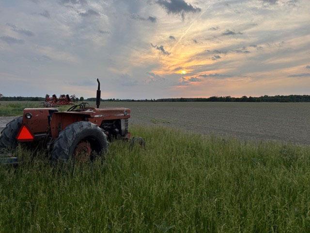 Grain surpluses come and go and for now, it looks like they are here once again. Don't lose track of market fundamentals. There will be marketing opportunities ahead. (DTN photo by Philip Shaw)