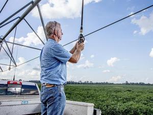 Senate Farm Bill Would Cut $1.9 Billion From EQIP, Fund New Forest and State Conservation Programs