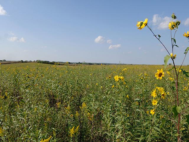As of January 2026, Nebraska, Colorado and South Dakota ranked as the three largest CRP states by enrolled acreage. (DTN file photo)