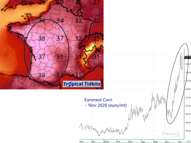 The weekend of July 10-12 saw temperatures at or above 38 degrees C (100 degrees F) in France's grain areas. Euronext corn futures have rallied more than $1/bushel since mid-June because of heat wave damage. (Tropical Tidbits/DTN ProphetX graphics)