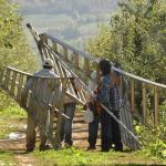 Farmworkers head to work in an orchard. Republicans are divided over whether the Securing America's Workforce Act's alternative pathway to H-2A status constitutes amnesty for unauthorized agricultural workers. (DTN file photo by Jim Patrico)