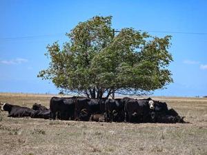 Unapologetically Passionate: How Ag Producers Are Weathering Drought, Wildfire and Uncertainty