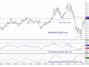 Canada Markets Blog: December Corn Chart Provides a Wealth of Technical Information