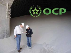 Duty-Free Moroccan Phosphate Could Ship to US Within Days, USDA Says