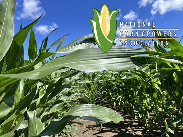 U.S. farmers over the last three crop seasons paid significantly higher prices for seed and crop protection tools than Brazilian counterparts, a new study shows. The pricing difference puts U.S. farmers at a disadvantage and has hurt farm profitability. (DTN photo by Chris Clayton, logo courtesy of the National Corn Growers Association)