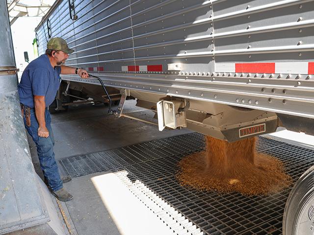 A Nebraska producer unloads grain at an ethanol plant. E15 across the board has been agreed upon in Senate farm bill negotiations, but the monthslong debate has centered on whether small refineries should be able to obtain Renewable Fuel Standard exemptions. (DTN file photo by Elaine Shein)