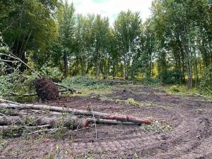 USDA Settles Decades of Uncertainty Over Swampbuster Wetland Determinations