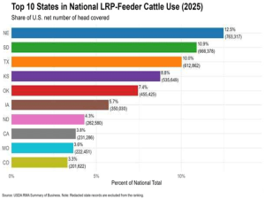 Breaking Down How Producers Use LRP to Protect Feeder Cattle Prices