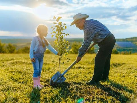 The Land Inheritance Conundrum