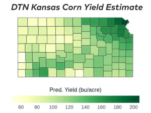 Kansas Corn, Soybean Crops See Tale of Two Seasons From East to West