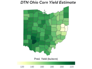 Ohio Crop Split by Planting Conditions, But August Rains Remain Key