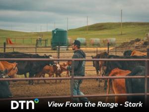 Montana Ranch Keeps Its Cow Herd Thriving Year-Round