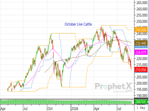 The Cattle on Feed Report Has Been Telling the Industry for a Long Time Trouble is Brewing