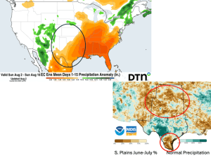 Drought Continues in Many Southern Plains Crop Areas Heading Into Late Summer