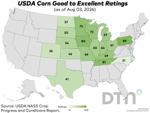 USDA Crop Progress: Corn Rated 61% Good to Excellent; Soybeans 63% Good to Excellent as of Aug. 2