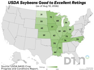 USDA Crop Progress: Corn Rated 61% Good to Excellent; Soybeans 62% Good to Excellent as of Aug. 9