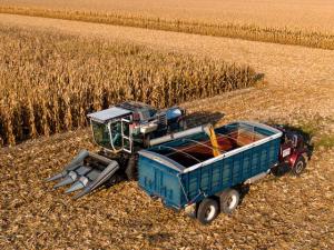 4 Grain Warehouse Regulators Battle Hansen-Mueller Over Key Bankruptcy Documents