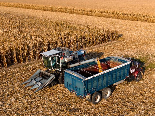 Four states have asked a federal bankruptcy court to compel Hansen-Mueller Company to release key documents requested. (DTN file photo)
