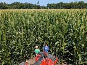 Farmers Find Comfort in Well-Timed Rains