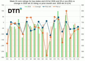 Corn Ratings Continue to Slip Despite Better August Weather
