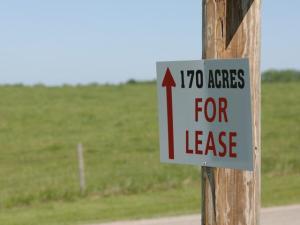 Cash Rents Hold Firm as Farmers Face Tough Lease Decisions for 2027 Ground