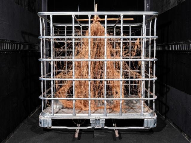 Corn root boxes allow Beck's Hybrids researchers to evaluate root architecture and make management recommendations. (Provided by Beck's Hybrids)