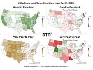 Beef Pasture Conditions Worsen