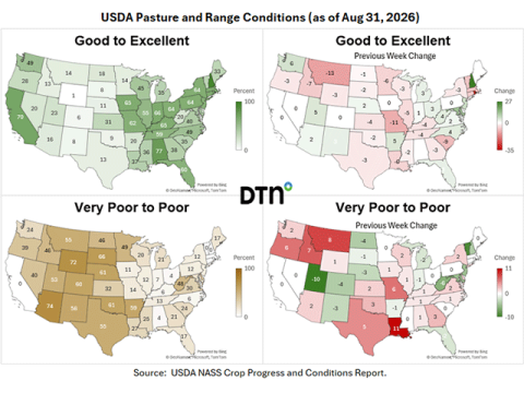Beef Pasture Conditions Worsen