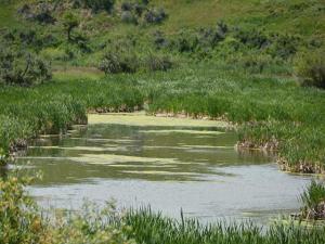 EPA Supplemental WOTUS Would Tighten Definitions of Protected Waters, Wetlands