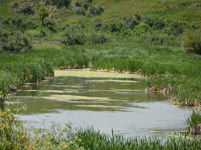 The U.S. Environmental Protection Agency is seeking public input on a supplemental proposal on the waters of the U.S. rule. (DTN file photo)